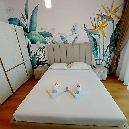 Axxis Nord Daire Mamaia