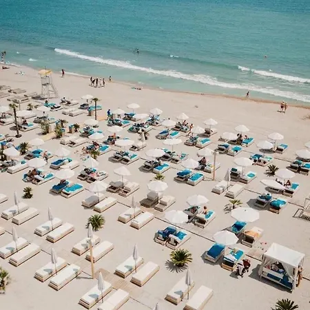 Axxis Nord * Mamaia