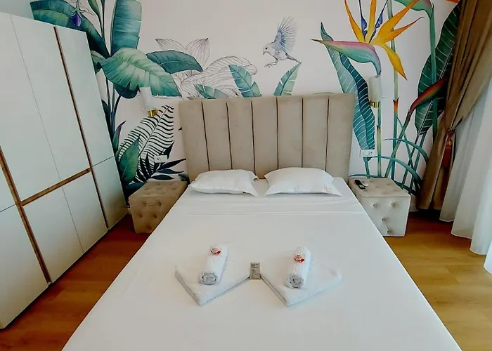 Axxis Nord Daire Mamaia